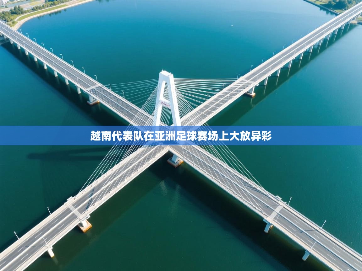 越南代表队在亚洲足球赛场上大放异彩  第2张