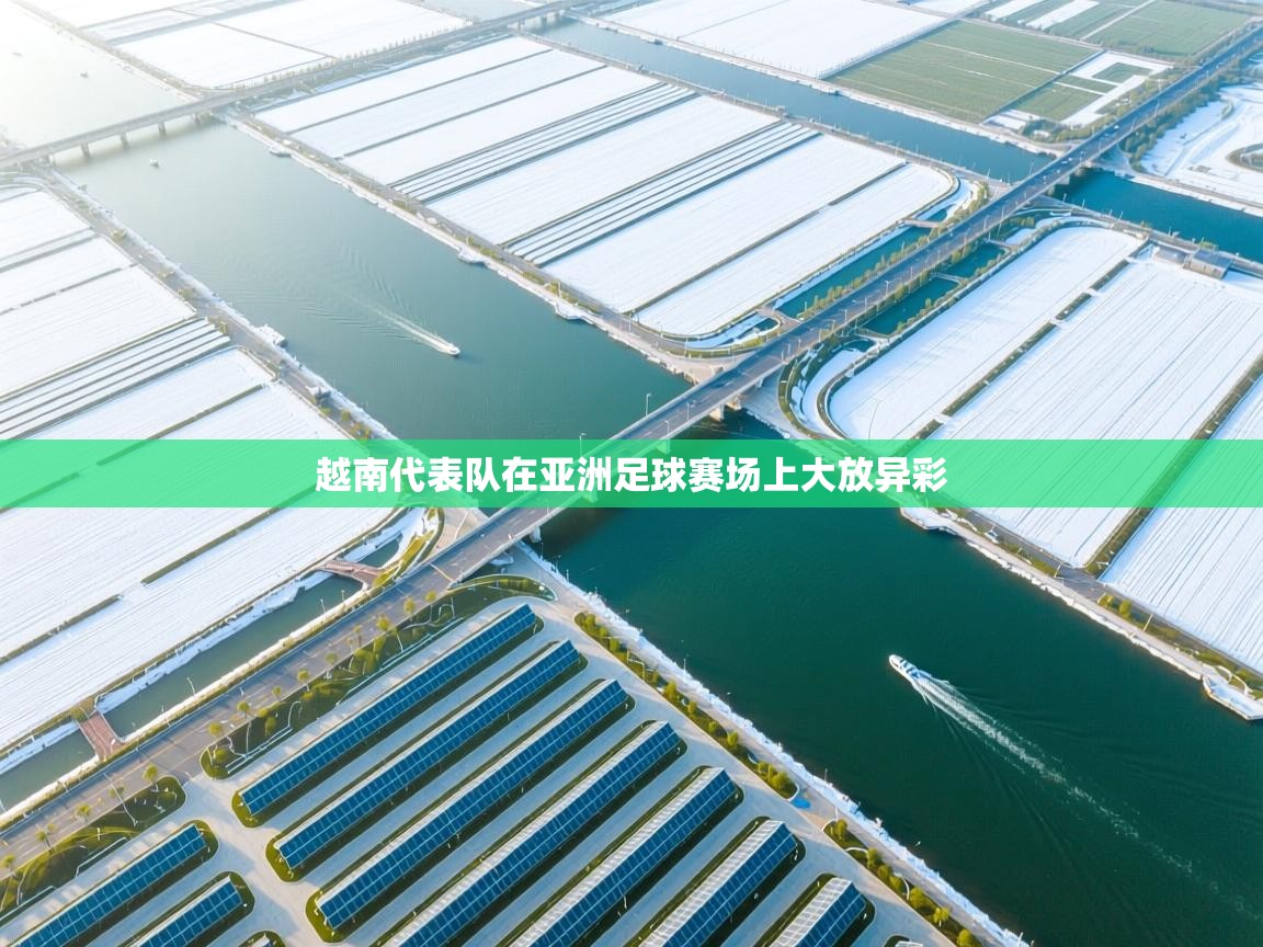 越南代表队在亚洲足球赛场上大放异彩  第1张