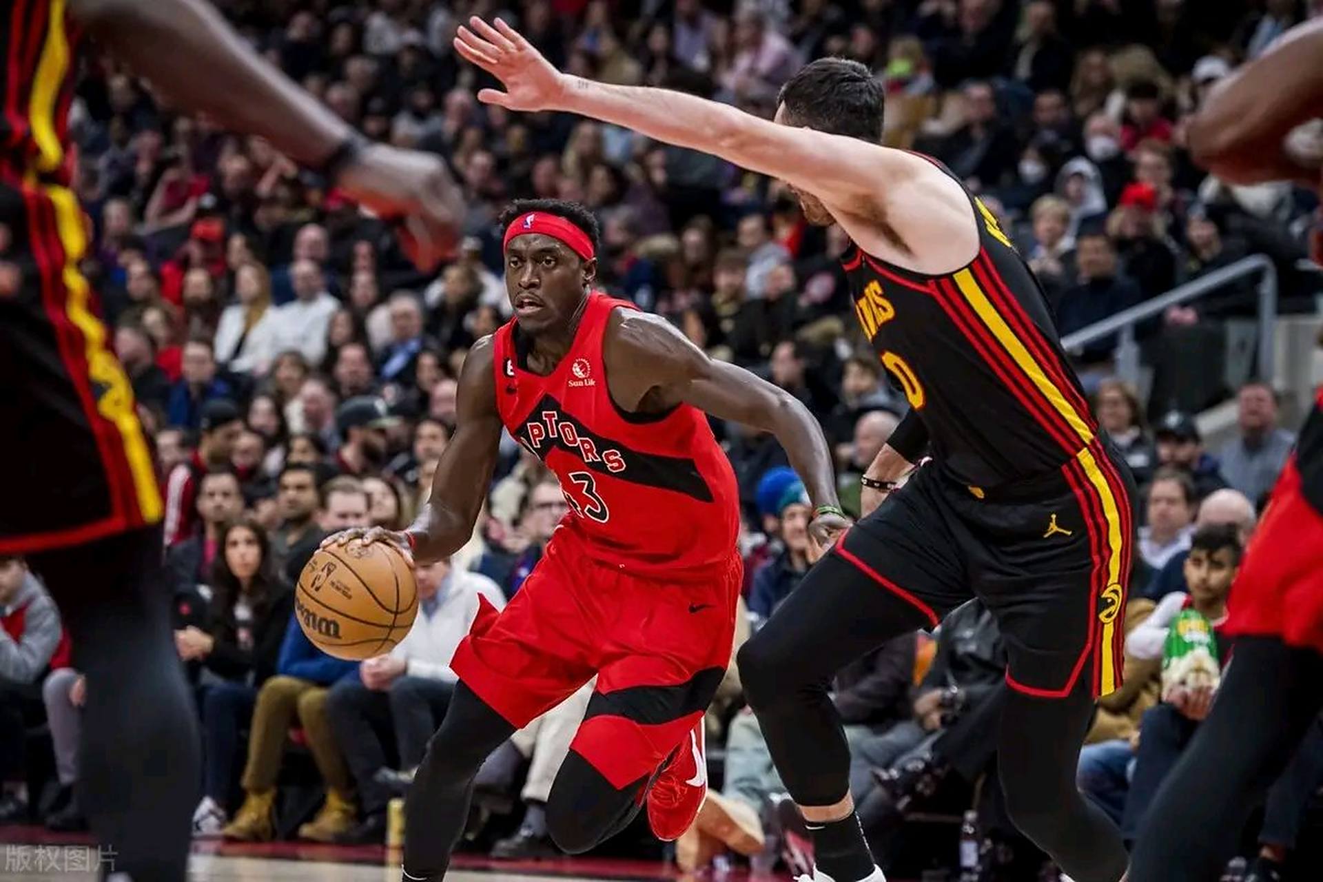 猛龙击败尼克斯,取得五连胜 猛龙击败尼克斯,取得五连胜